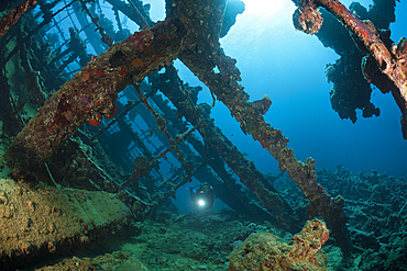 Scuba Diver at Umbria Wreck, Wingate Reef, Red Sea, Sudan