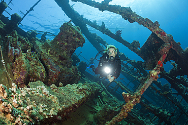 Scuba Diver at Umbria Wreck, Wingate Reef, Red Sea, Sudan