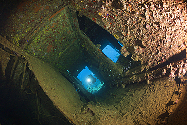 Scuba Diver at Umbria Wreck, Wingate Reef, Red Sea, Sudan