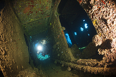 Scuba Diver at Umbria Wreck, Wingate Reef, Red Sea, Sudan