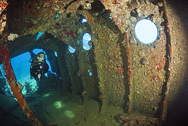 Scuba Diver at Umbria Wreck, Wingate Reef, Red Sea, Sudan