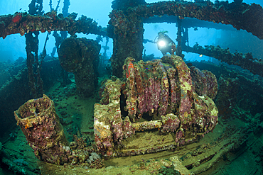 Scuba Diver at Umbria Wreck, Wingate Reef, Red Sea, Sudan