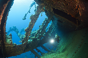 Scuba Diver at Umbria Wreck, Wingate Reef, Red Sea, Sudan