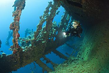 Scuba Diver at Umbria Wreck, Wingate Reef, Red Sea, Sudan