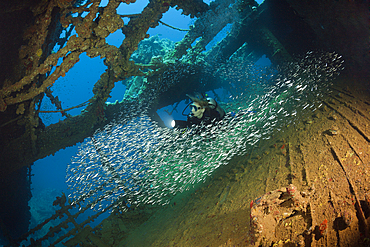 Scuba Diver at Umbria Wreck, Wingate Reef, Red Sea, Sudan