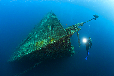 Scuba Diver at Umbria Wreck, Wingate Reef, Red Sea, Sudan