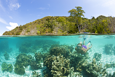 Corals in shallow Water, Raja Ampat, West Papua, Indonesia