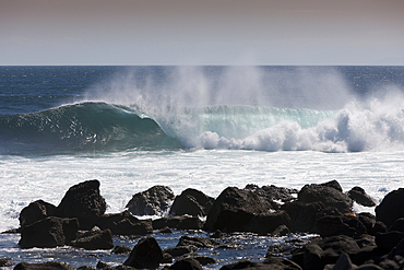 Big Waves breaking at shore, North Seymour, Galapagos, Ecuador