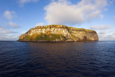 Darwin Island, Galapagos, Ecuador