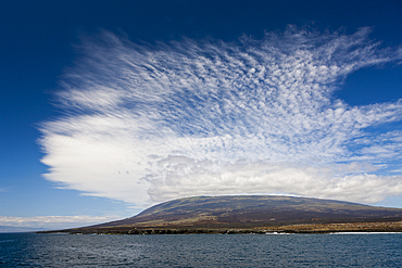 Fernandina Island, Galapagos, Ecuador