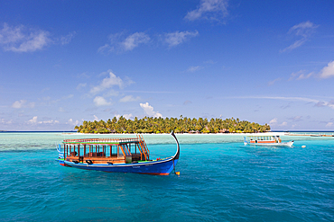 Alimatha Island, Felidhu Atoll, Maldives