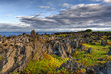 Rock Formations near Lily Beach, Christmas Island, Australia