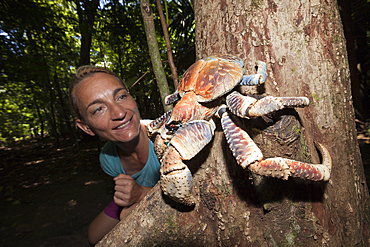 Tourist observes Robber Crab, Birgus latro, Christmas Island, Australia