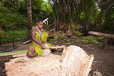 Demonstration of making Sago, Tufi, Oro Province, Papua New Guinea