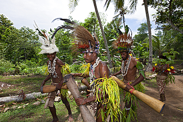 Traditional Sing Sing of Kofure, Tufi, Oro Province, Papua New Guinea