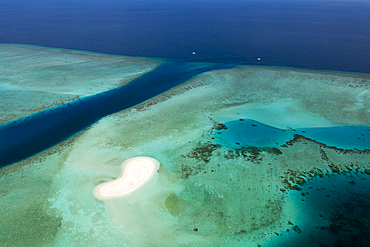 Diving Spot Fotteyo Channel, Felidhu Atoll, Indian Ocean, Maldives