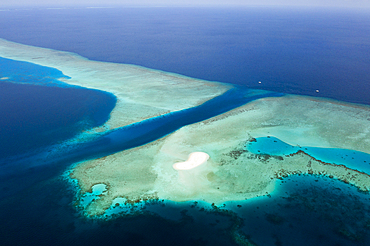 Diving Spot Fotteyo Channel, Felidhu Atoll, Indian Ocean, Maldives