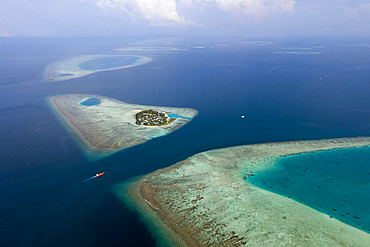 Diving Spot Rakheedhoo Channel, Felidhu Atoll, Indian Ocean, Maldives