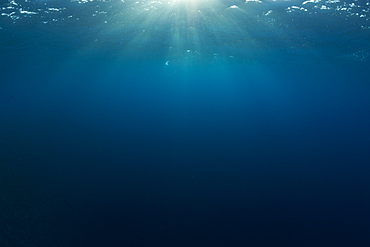 View to Water Surface, North Male Atoll, Indian Ocean, Maldives