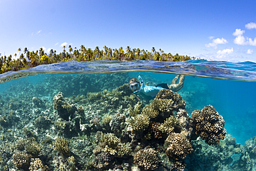 Snorkeling at French Polynesia, Apataki Atoll, Tuamotu Archipel, French Polynesia