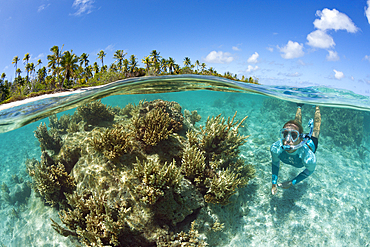 Snorkeling at French Polynesia, Apataki Atoll, Tuamotu Archipel, French Polynesia