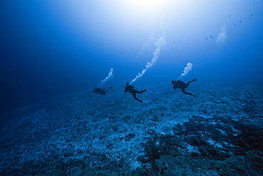 Scuba Diving at French Polynesia, Apataki Atoll, Tuamotu Archipel, French Polynesia