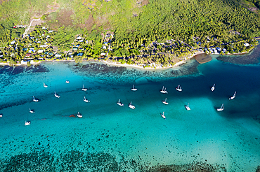 Aerial View of Opunohu Bay, Moorea, French Polynesia