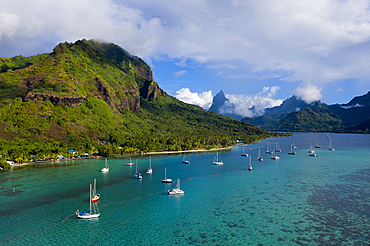 Aerial View of Opunohu Bay, Moorea, French Polynesia