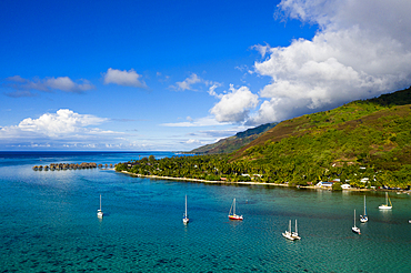 Aerial View of Opunohu Bay, Moorea, French Polynesia