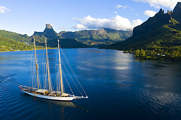 Sailing Boat in Cook's Bay, Moorea, French Polynesia