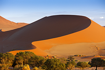 Big Mama Dune in Sossusvlei Area, Namib Naukluft Park, Namibia