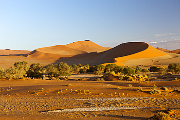 Big Mama Dune in Sossusvlei Area, Namib Naukluft Park, Namibia