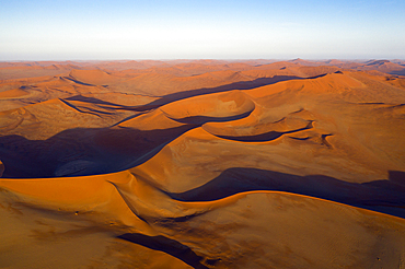 Big Mama Dune in Sossusvlei Area, Namib Naukluft Park, Namibia