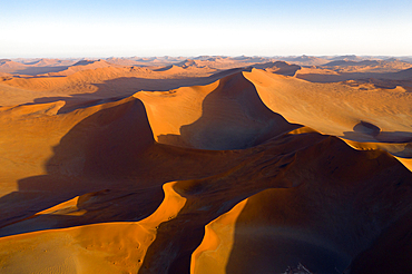 Dunes in Sossusvlei Area, Namib Naukluft Park, Namibia