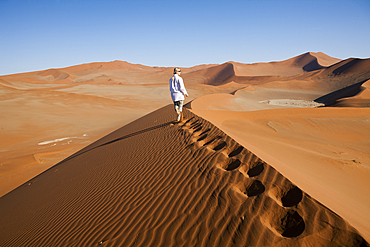 Dunes in Sossusvlei Area, Namib Naukluft Park, Namibia