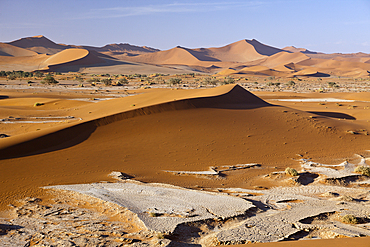 Dunes in Sossusvlei Area, Namib Naukluft Park, Namibia