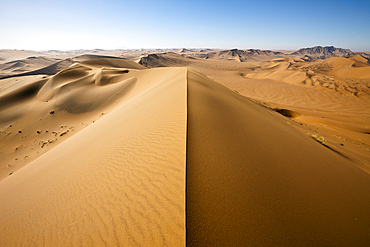 Big Daddy Dune at Deadvlei, Namib Naukluft Park, Namibia