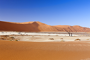 Impressions of Hiddenvlei, Namib Naukluft Park, Namibia