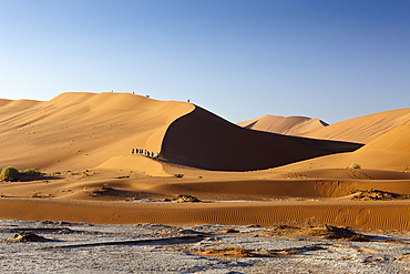 Tourists hiking the Big Daddy Dune, Namib Naukluft Park, Namibia