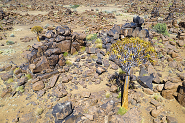 Rocks of Giants Playground, Keetmanshoop, Namibia