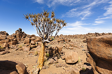 Rocks of Giants Playground, Keetmanshoop, Namibia