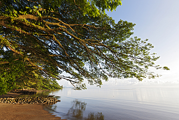 Beach of Kimbe Bay, New Britain, Papua New Guinea