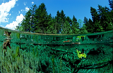 freshwater spring, Germany, Bavaria