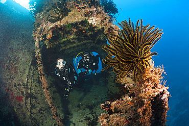 Scuba Diver explore Stern of Maldive Victory Wreck, Hulhule, North Male Atoll, Maldives