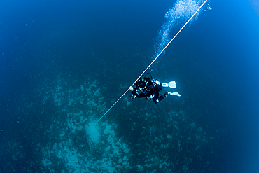 Scuba Diver doing safety stop, Vis Island, Mediterranean Sea, Croatia