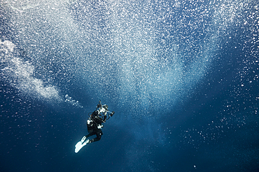 Rising air bubbles, Vis Island, Mediterranean Sea, Croatia