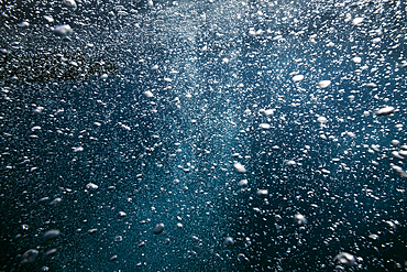 Rising air bubbles, Vis Island, Mediterranean Sea, Croatia