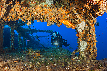 Scuba Diver at Vassilios Wreck, Vis Island, Mediterranean Sea, Croatia