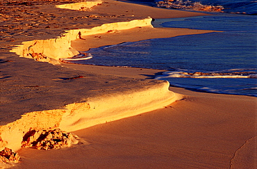 Dust on the sand beach, Bahamas, Caribbean Sea, Grand Bahama