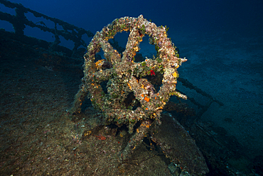 Wheel of Teti Wreck, Vis Island, Mediterranean Sea, Croatia